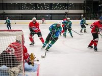 Благотворительный хоккейный матч «Добрые сердца»