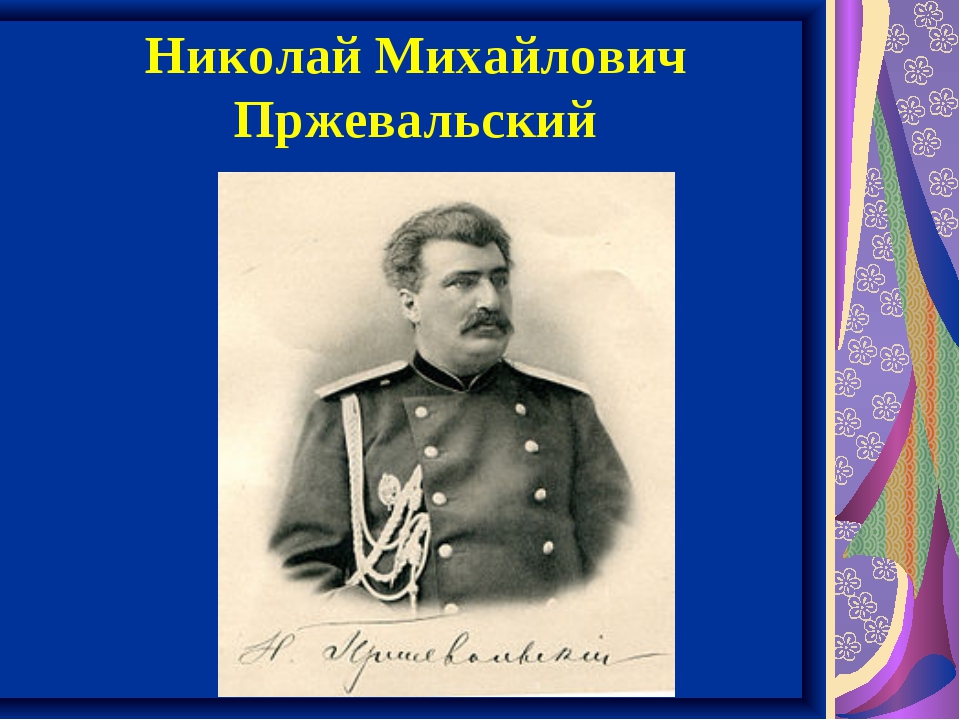 Н м пржевальский исследования. Портрет Пржевальского Николая Михайловича.