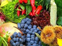 Ученые БТИ нашли способ быстрого определения суммарного содержания полезных компонентов в овощах и фруктах